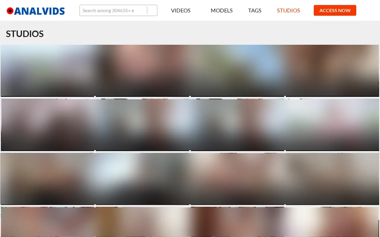 AnalVids studios page, with each studio's scene count