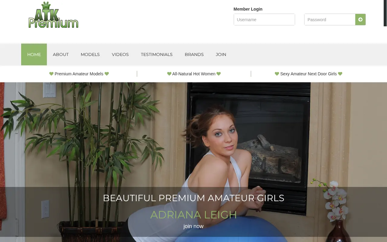 Screenshot of atkpremium.com