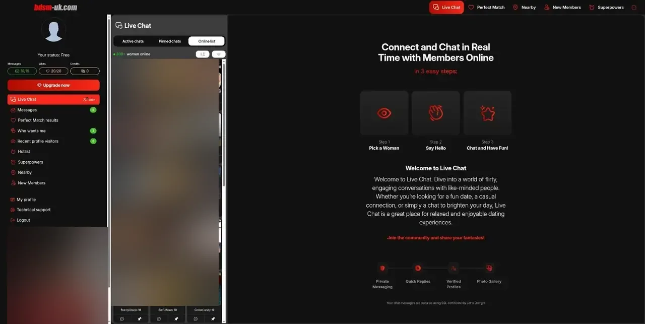 Bdsm-uk Live Chat page with members online