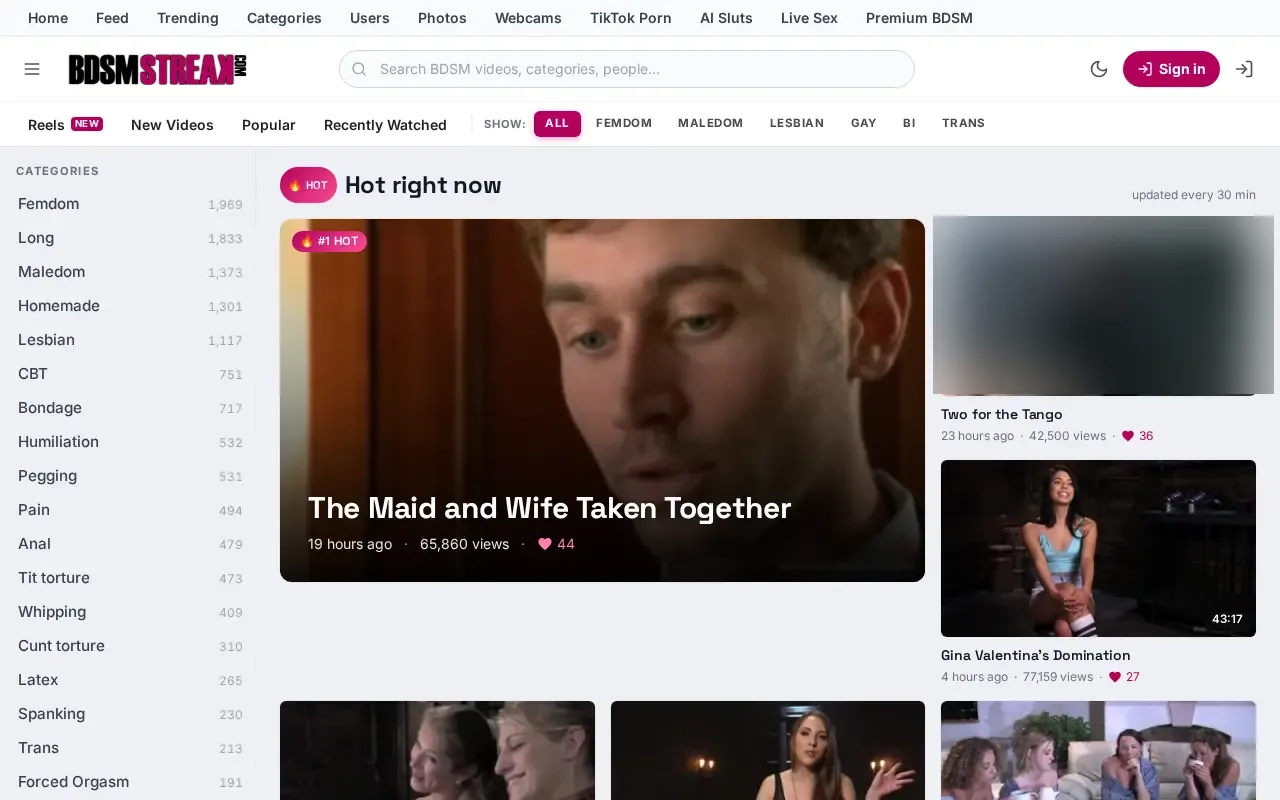 Screenshot of bdsmstreak.com