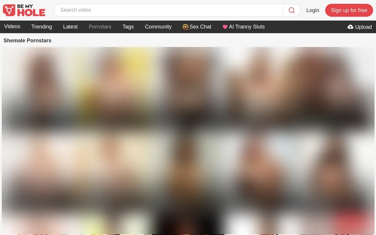 BeMyHole performers page, with each one's video count