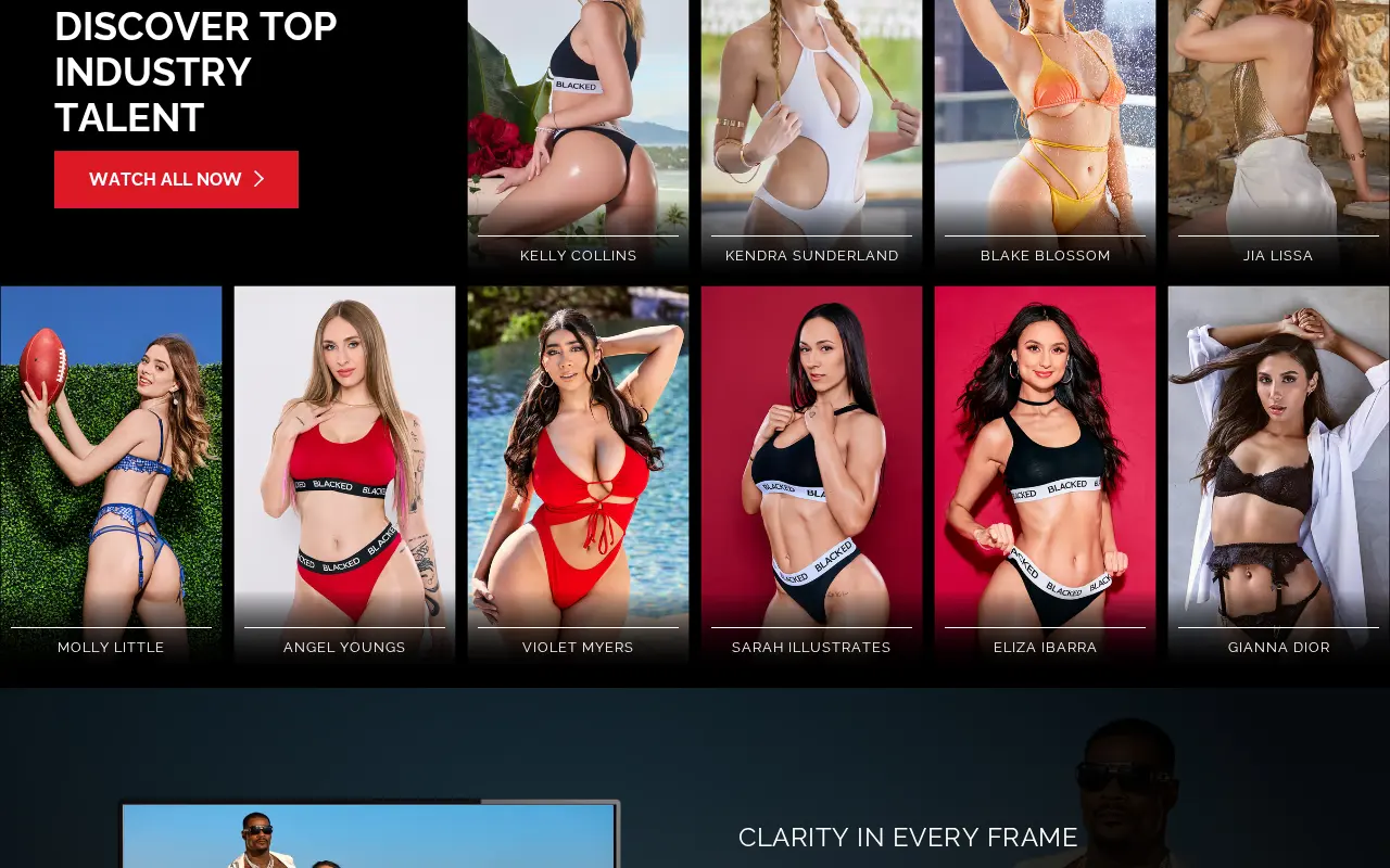 The ten performers featured on the Blacked home page