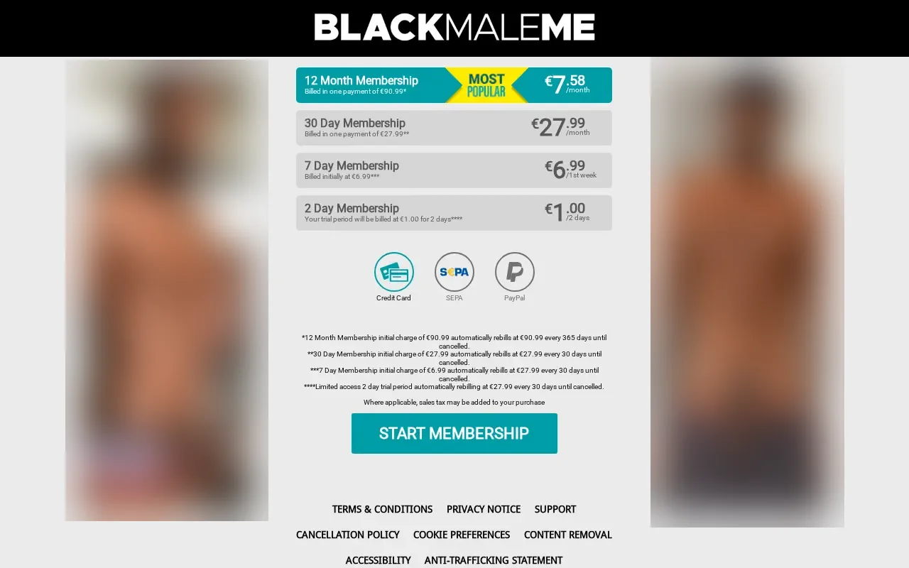 Black Male Me plan grid, from the trial to the year