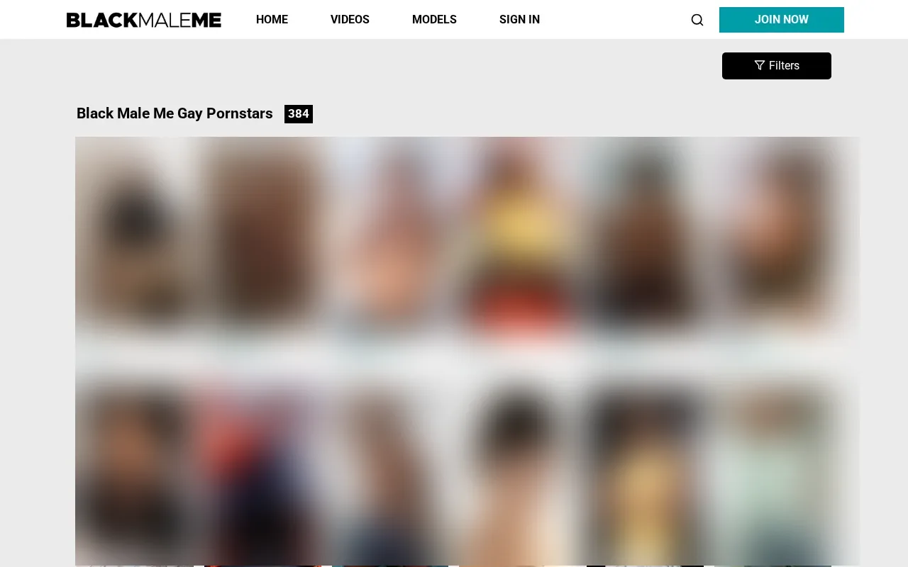 Black Male Me performer directory