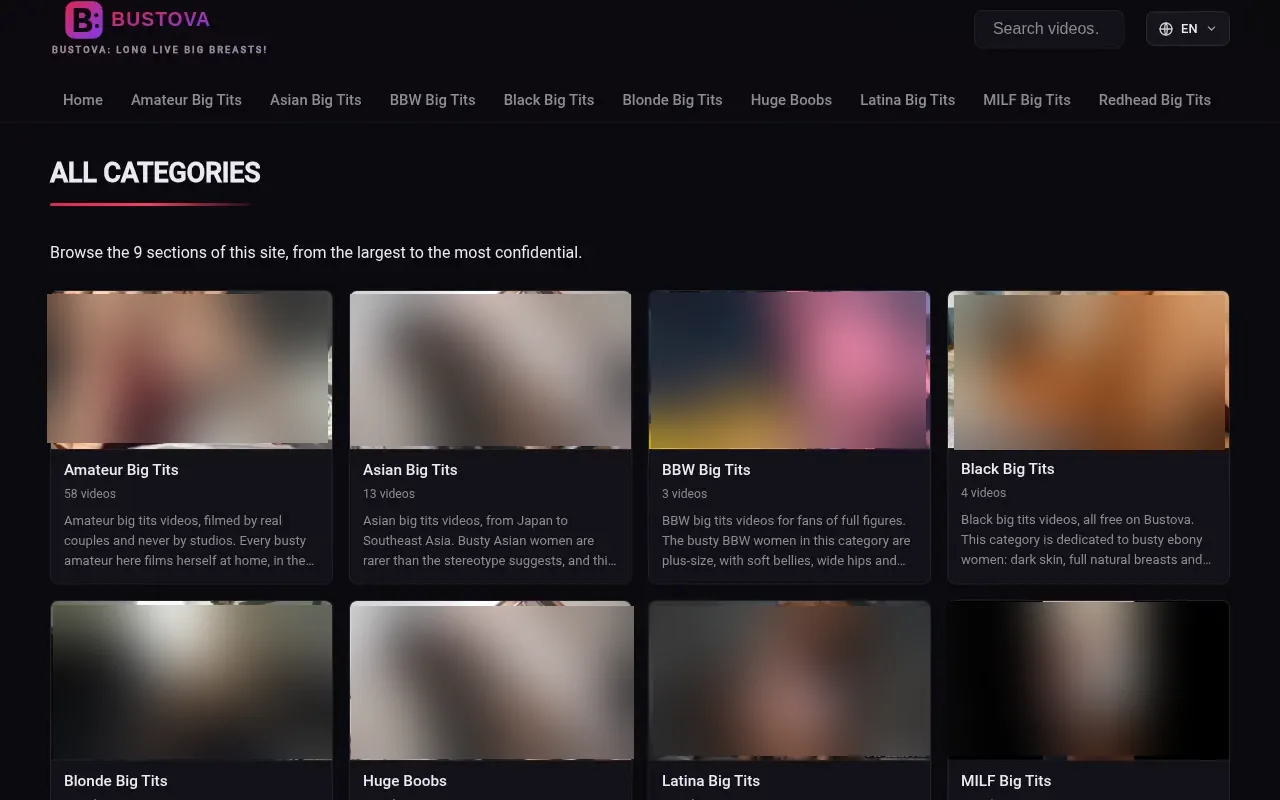 Bustova's nine categories with their video counts
