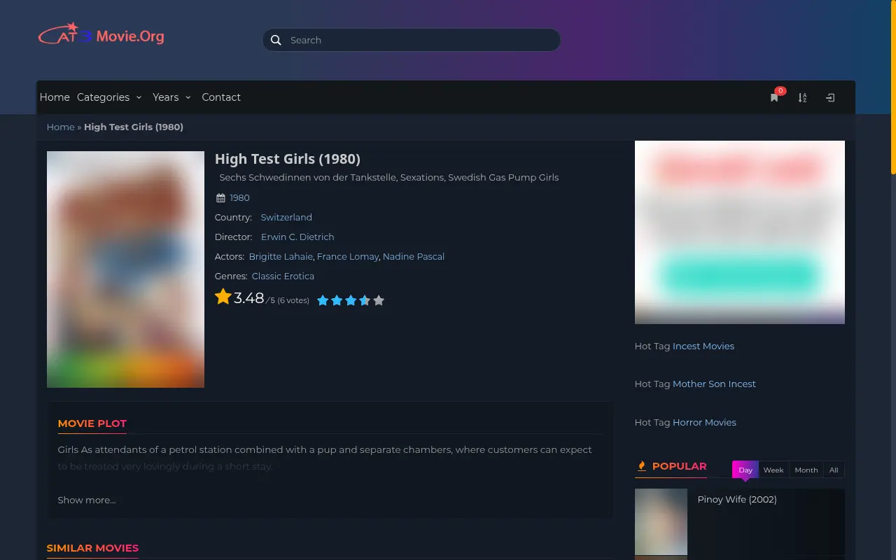 A film page gathers its poster, synopsis, year, running time and playback servers before viewing.