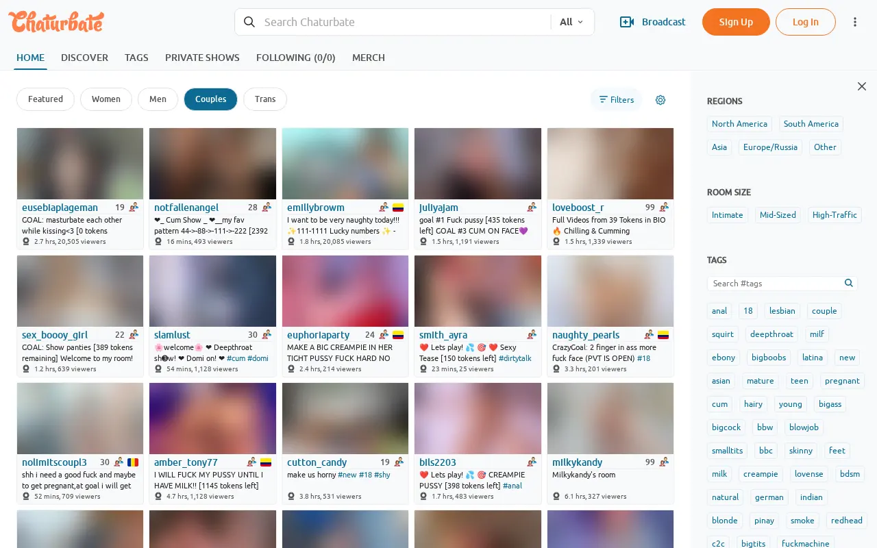 The Chaturbate Couples category