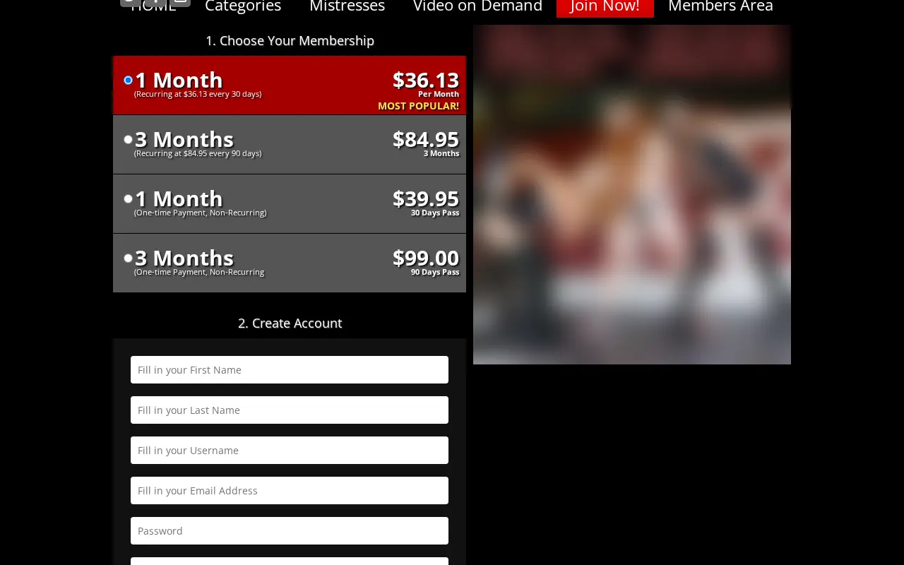 The four plans, two of them renewing and two paid once.