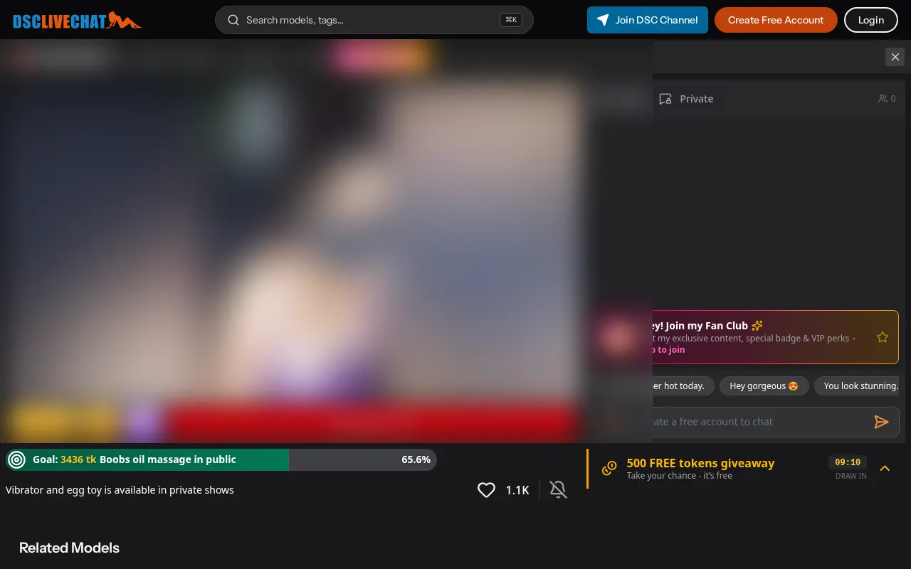 An Indian model's room on Delhi Sex Chat, with the private show price