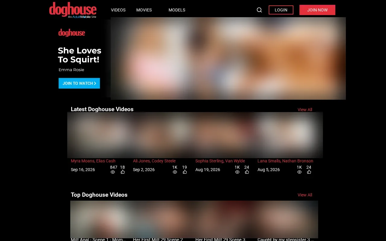 Screenshot of doghousedigital.com