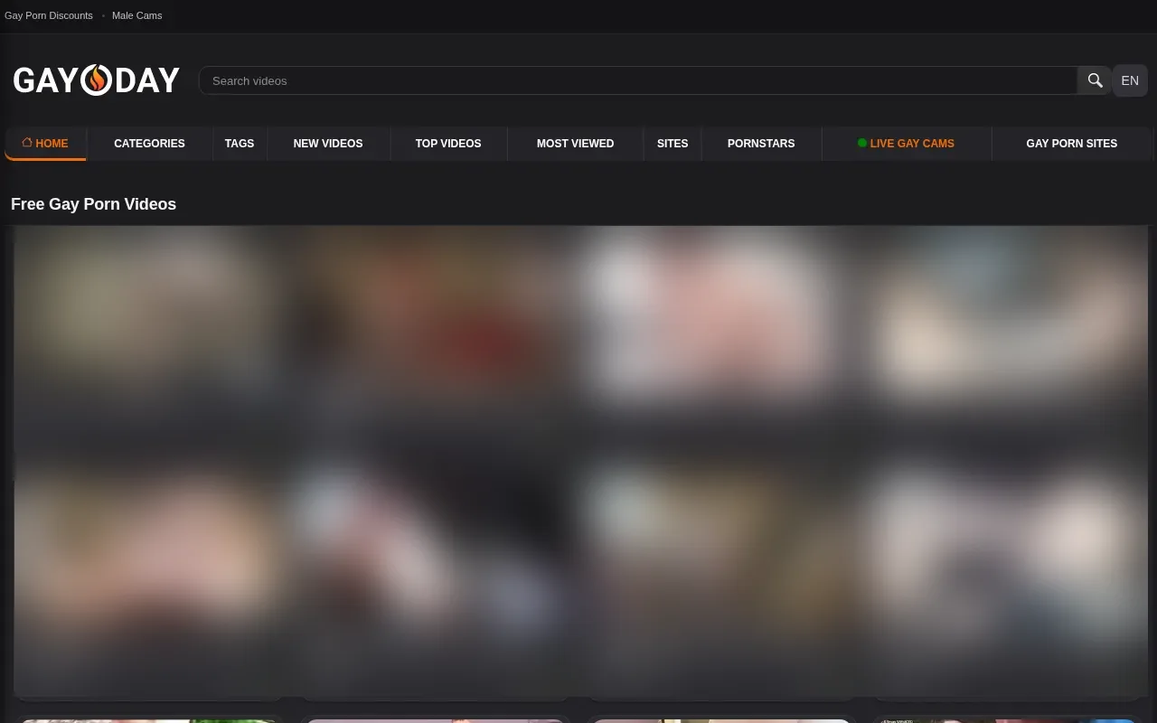 Screenshot of gay0day.com