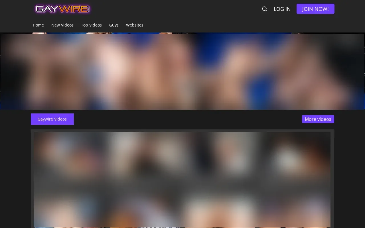 Capture de gaywire.com