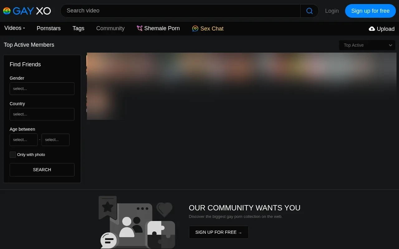 GayXO community area with member search