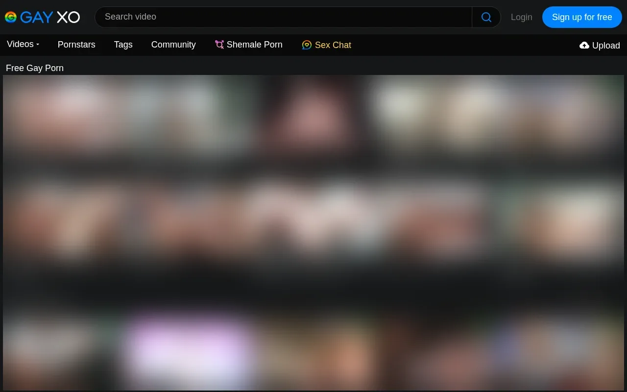 Screenshot of gayxo.com