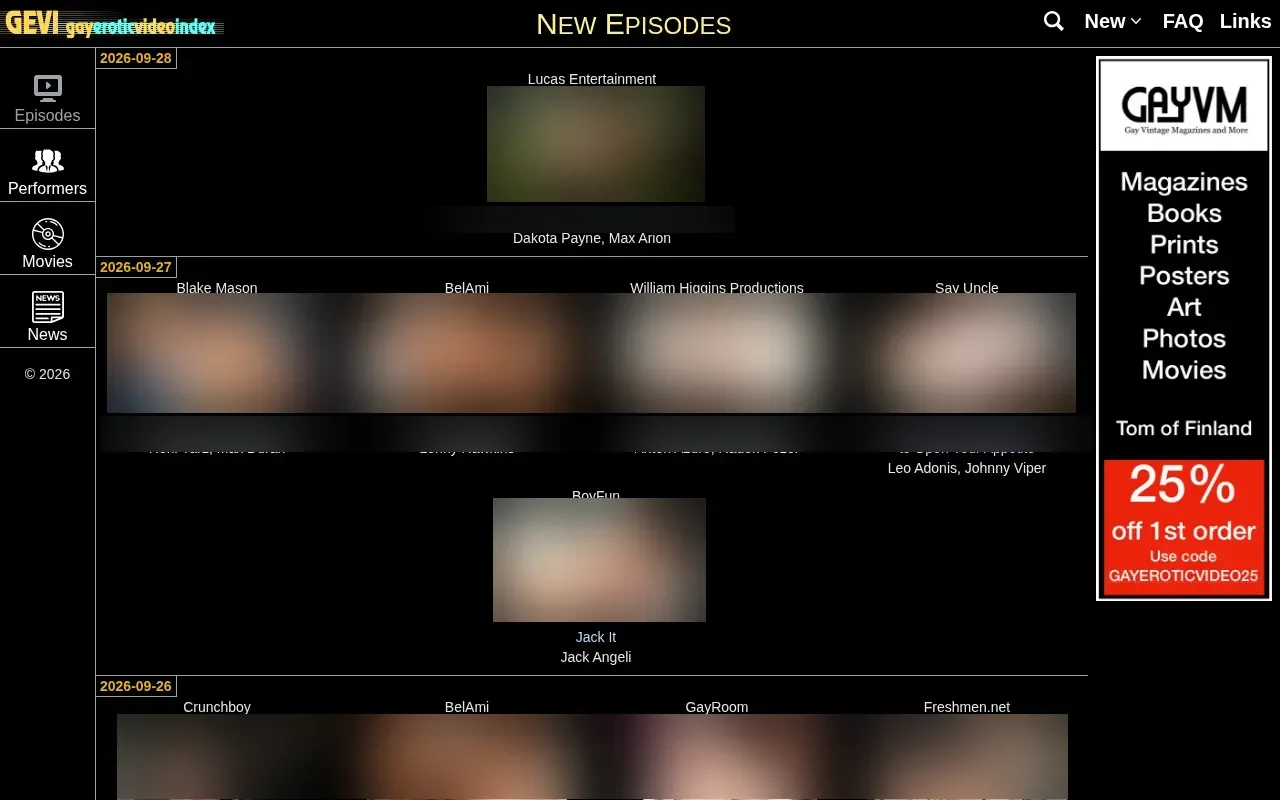Screenshot of gayeroticvideoindex.com