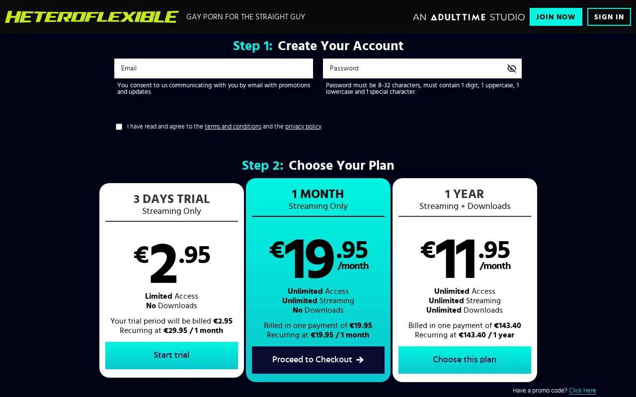 Heteroflexible membership plans, which open all of Adult Time