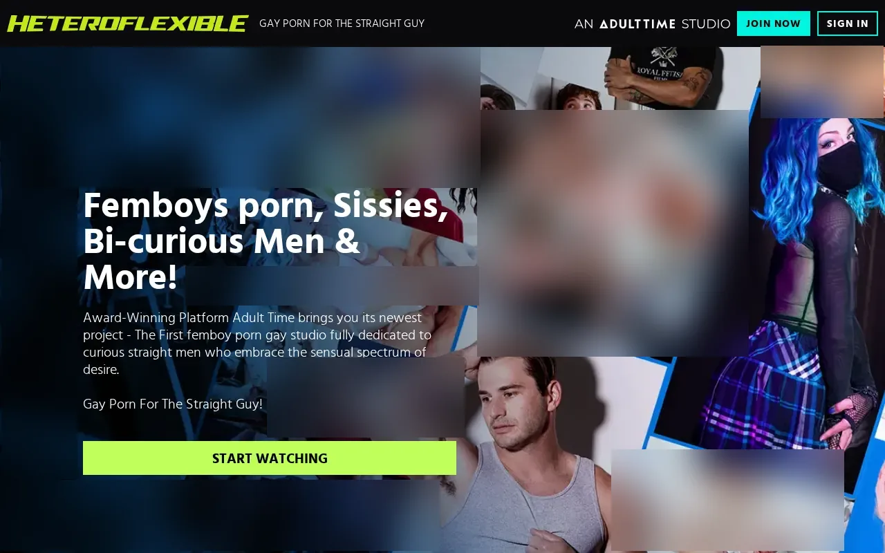 Screenshot of heteroflexible.com