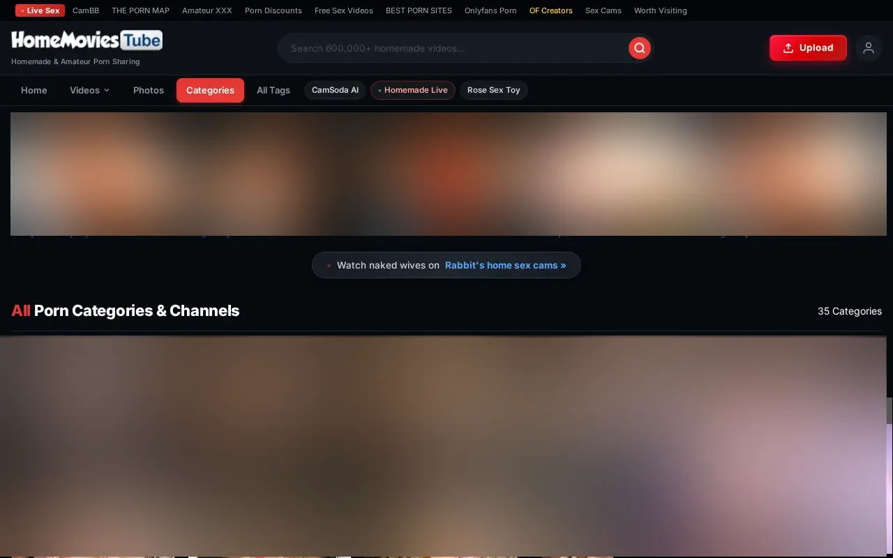 The 35 HomeMoviesTube categories with their video counts