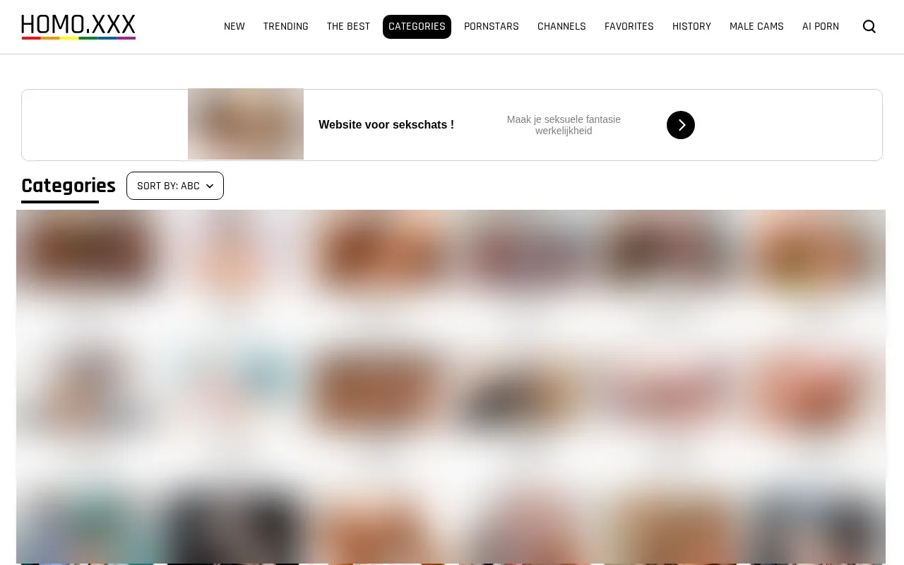 Homo.xxx category index with video counts