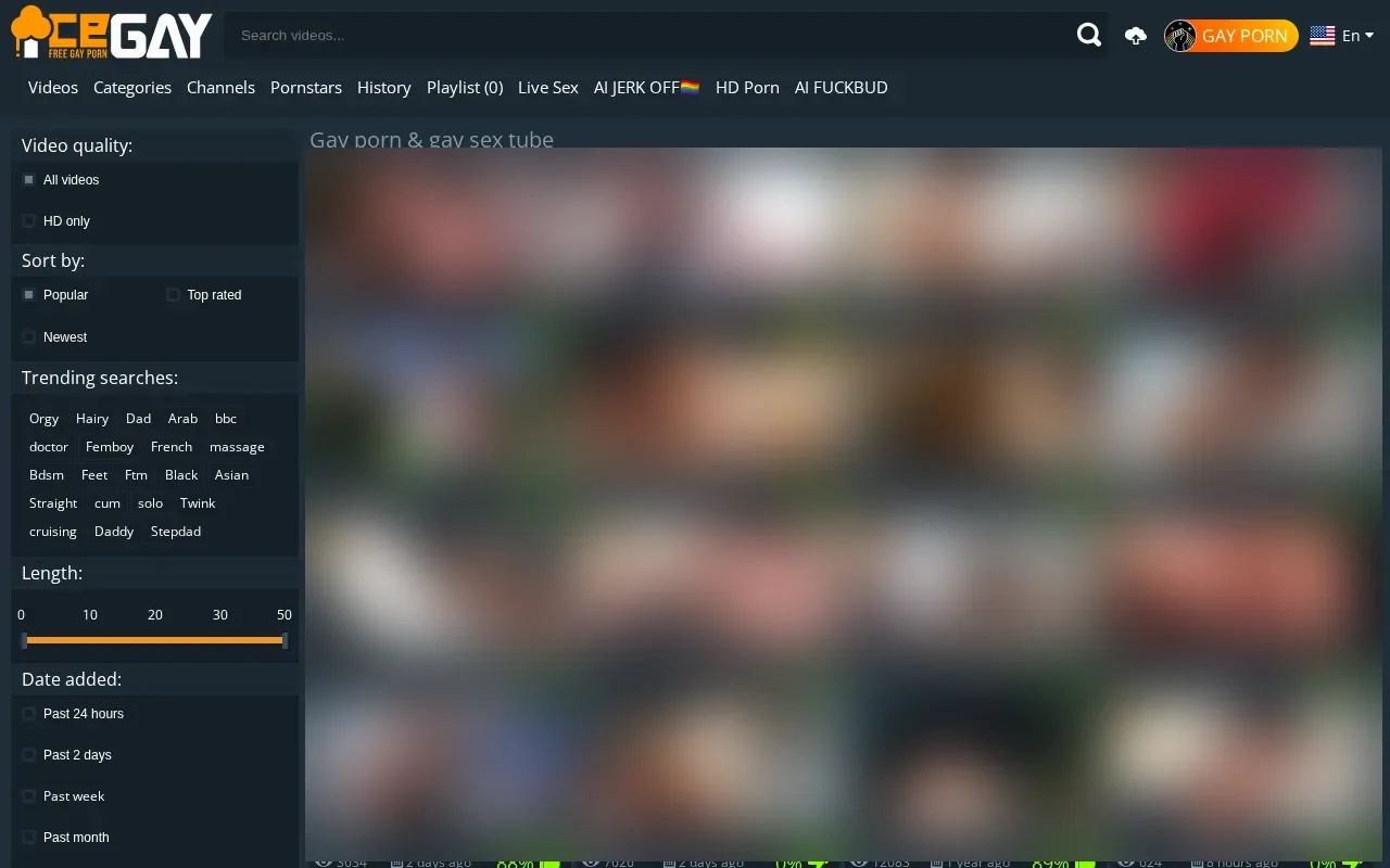 Screenshot of icegay.tv