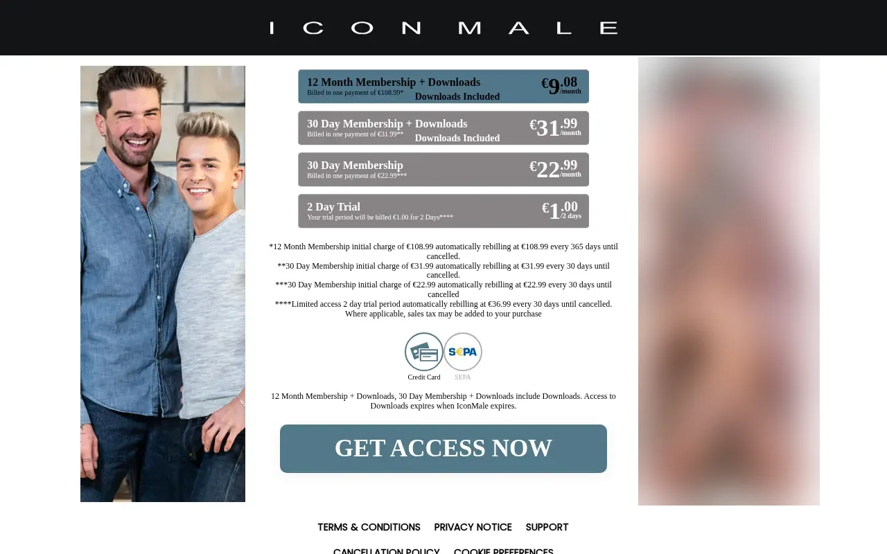 Icon Male plan grid, from the trial to the year