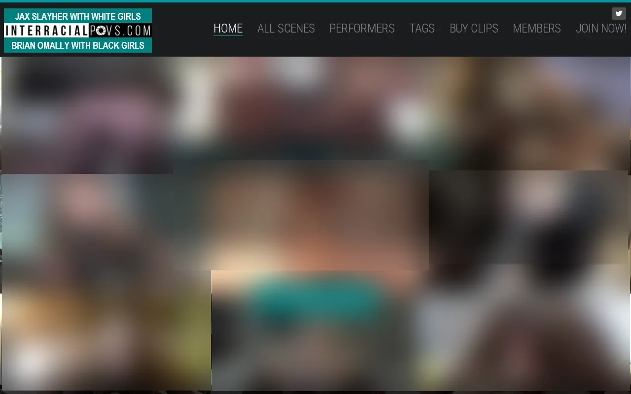 Screenshot of interracialpovs.com