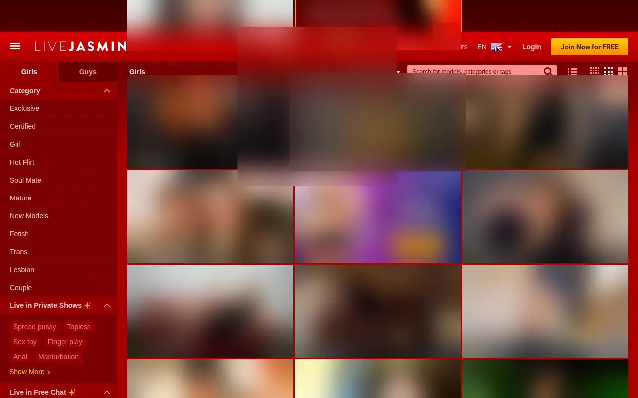 The category column gives the site's vocabulary: the model ranks, the acts announced in private, and those that stay in free chat.