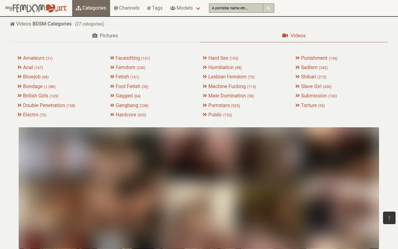The video categories of myFEMDOMart
