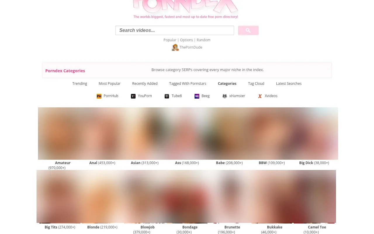 Porndex's 85 categories and their counters