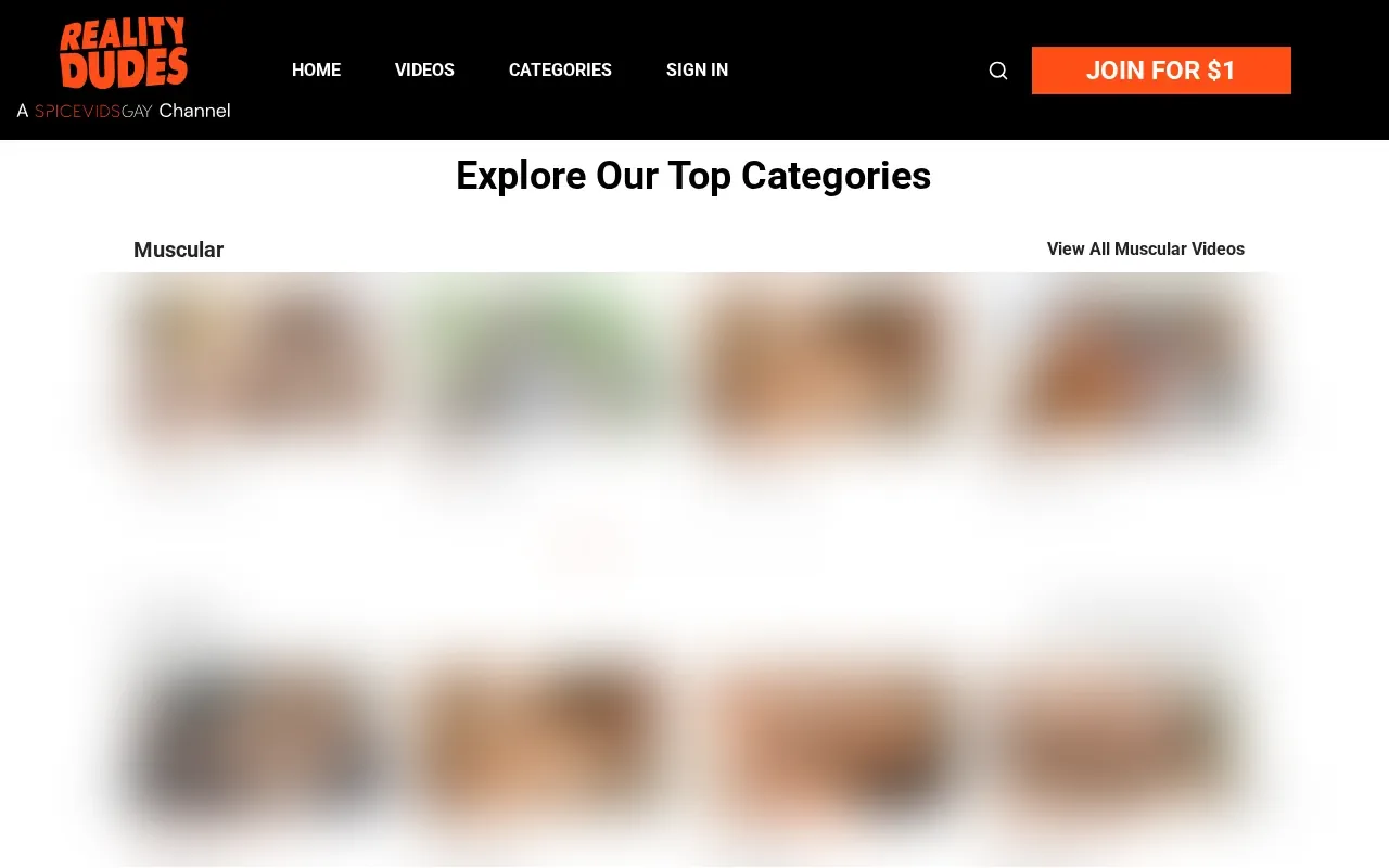 Reality Dudes categories