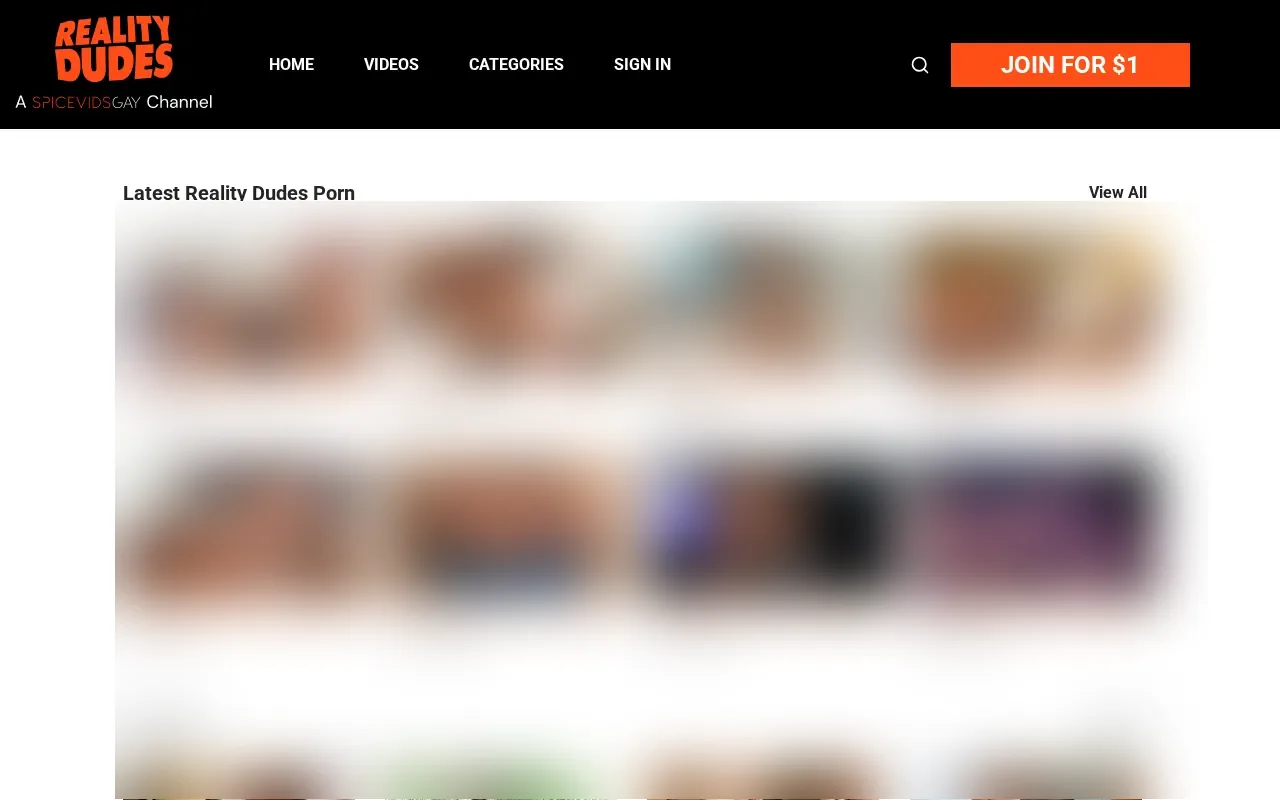 Screenshot of realitydudes.com