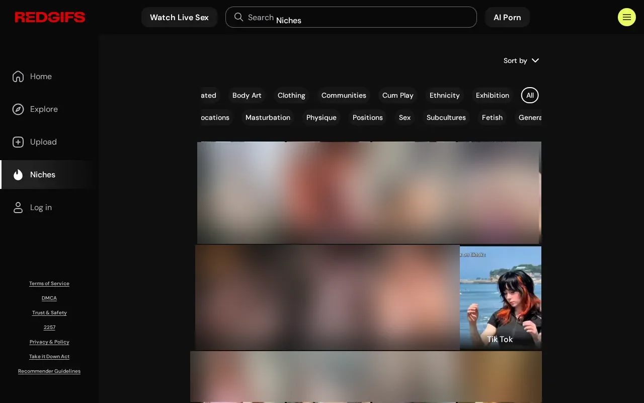 RedGIFs niches page