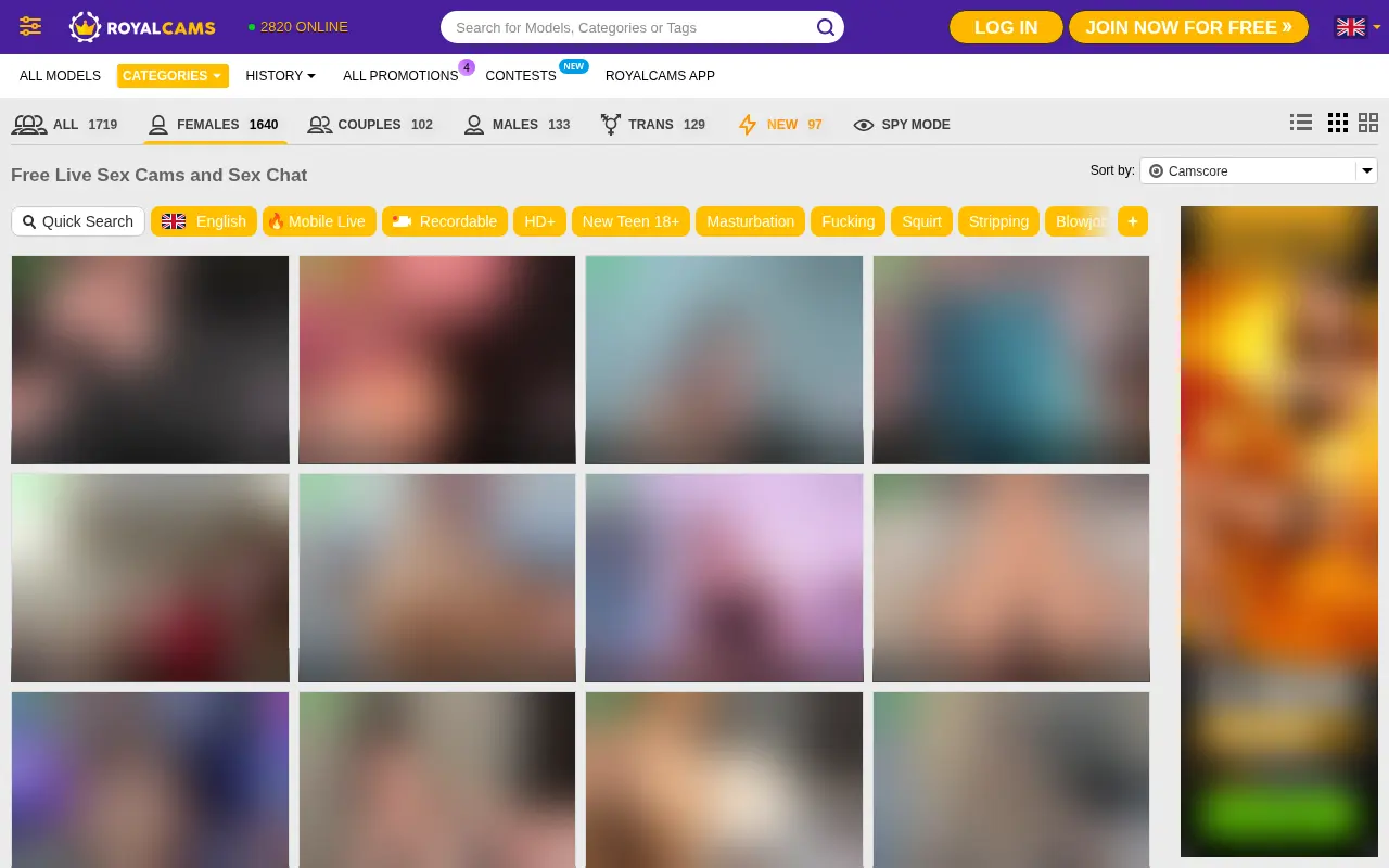 Screenshot of royalcams.com