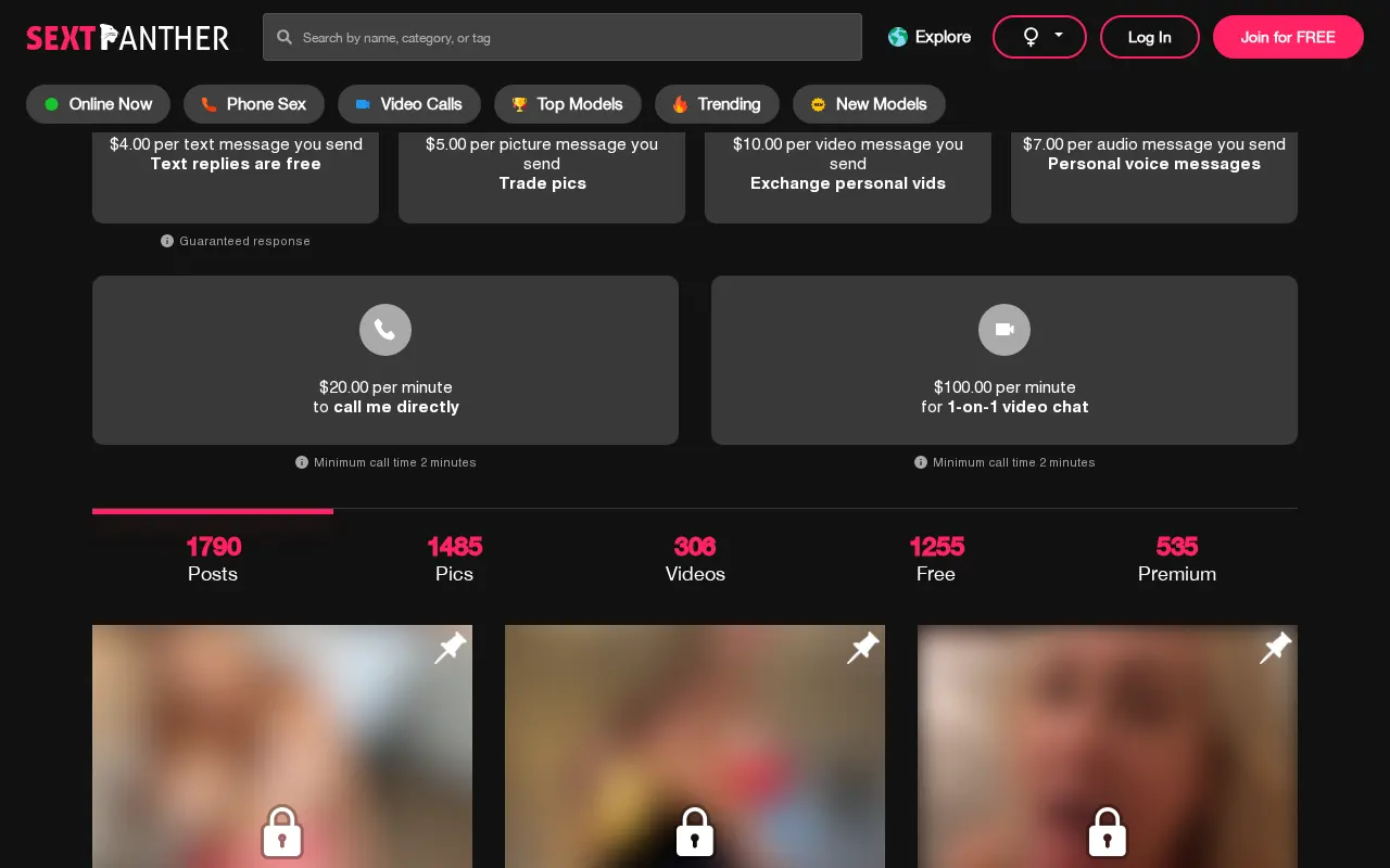 A SextPanther creator's price list for texts, photos, calls and video chat