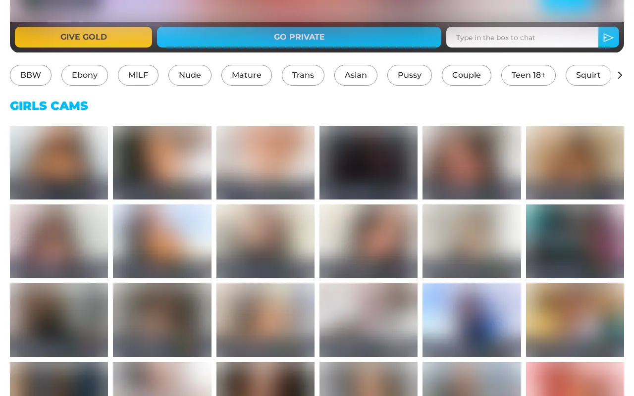 A category page: the paid action bar, Give Gold and Go Private, the sorting tags and the grid of models online.