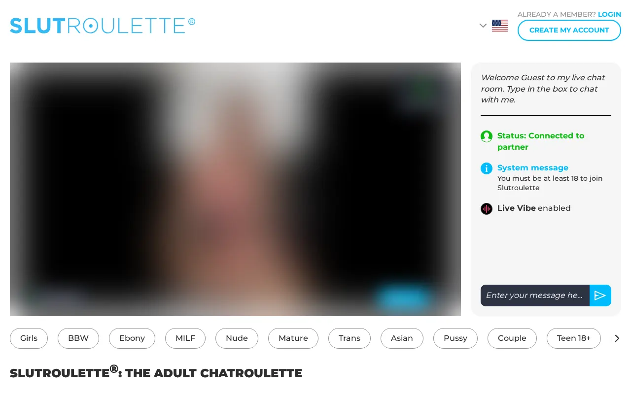 Screenshot of slutroulette.com