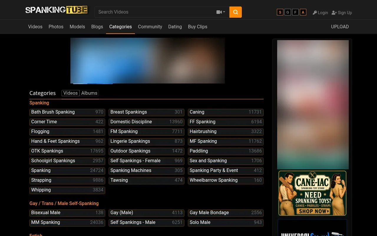 The site headings, each with its video count.