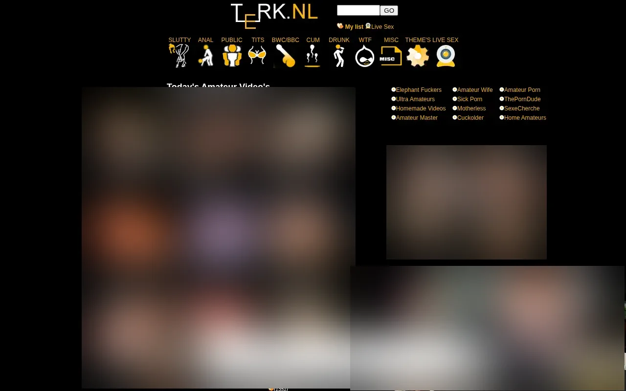 Screenshot of terk.nl