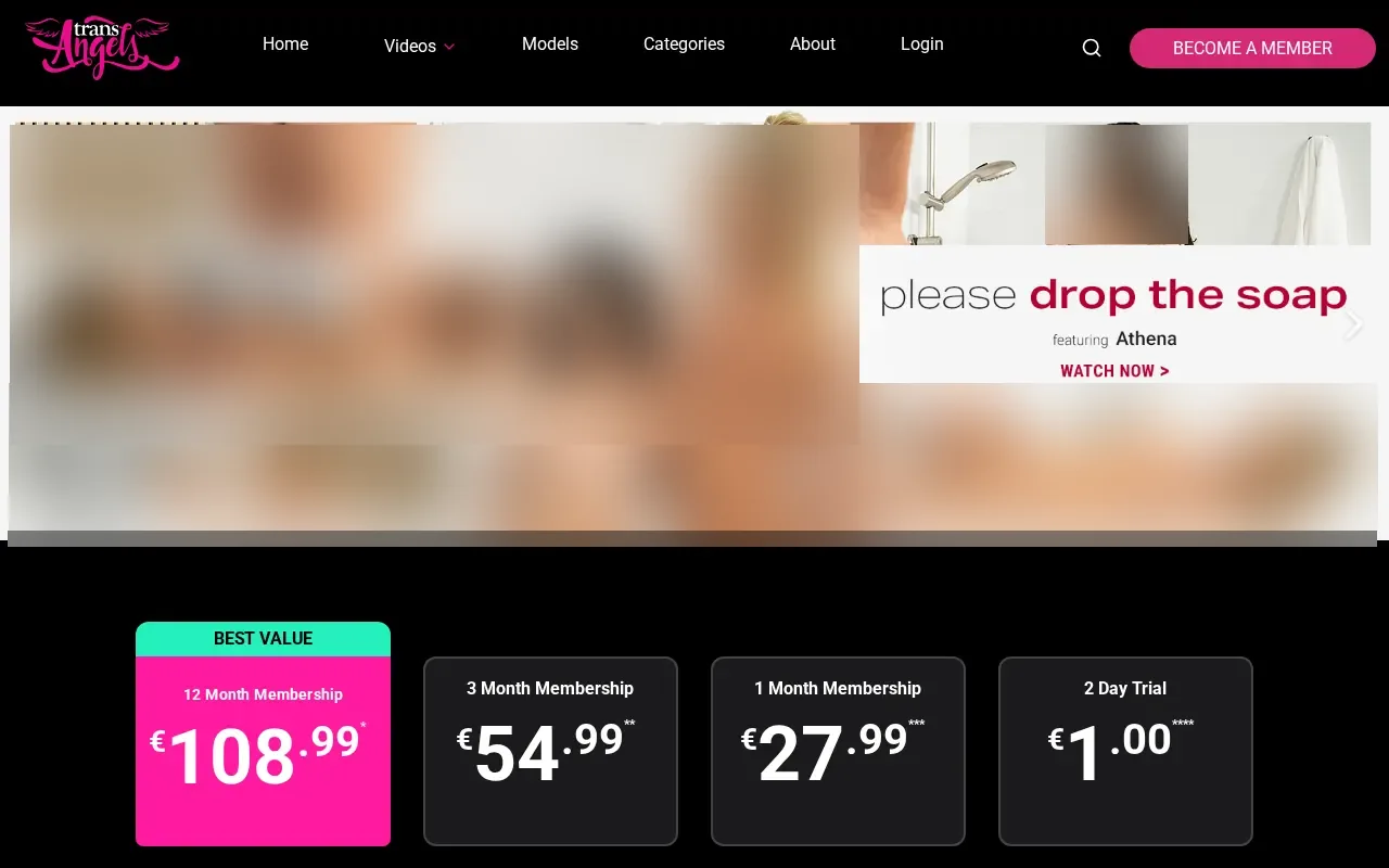 Screenshot of transangels.com