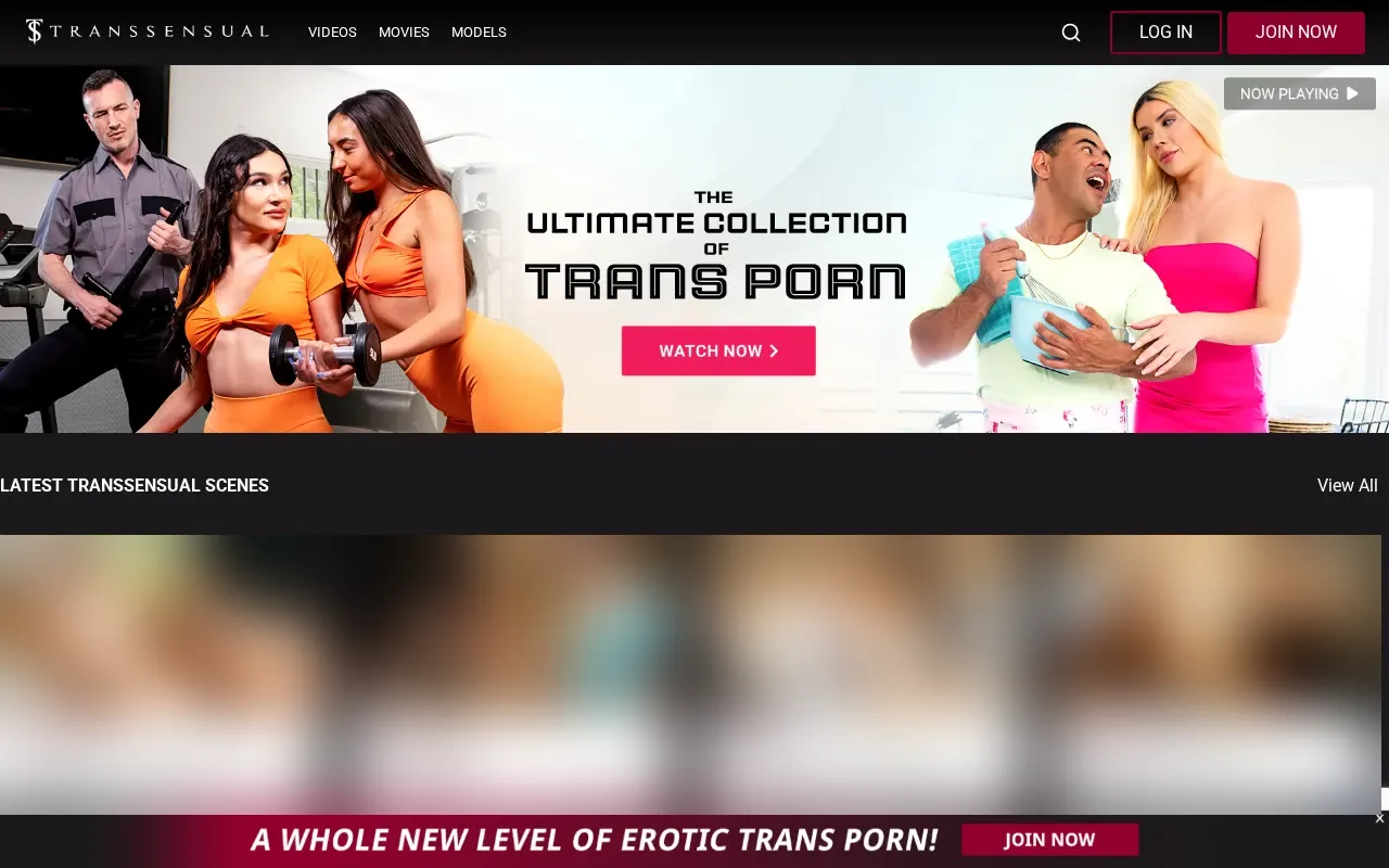 Screenshot of transsensual.com