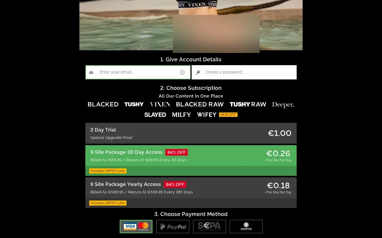 The nine brands included, the two plans with their renewal amounts, and the four payment methods.