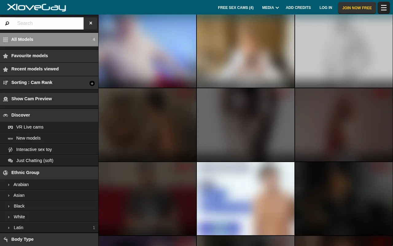 Screenshot of xlovegay.com