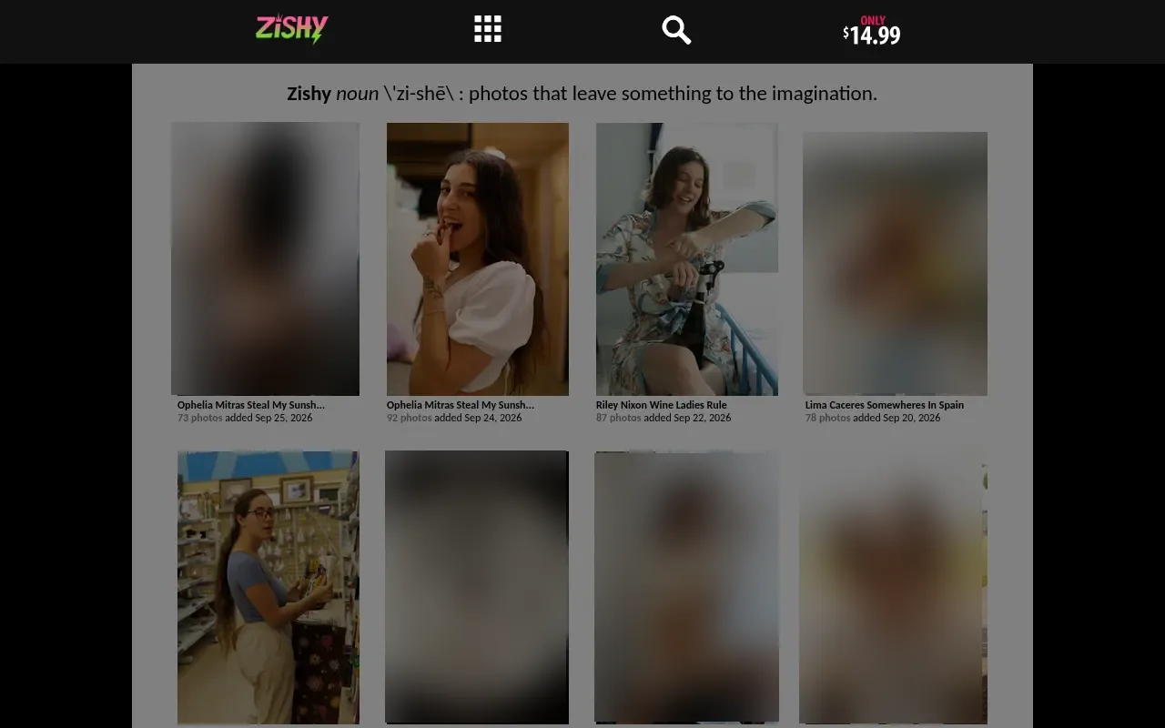 Screenshot of zishy.com